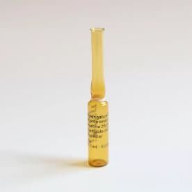 1 ml - 40 ml Szklana ampułka do wstrzykiwań Pusta medyczna